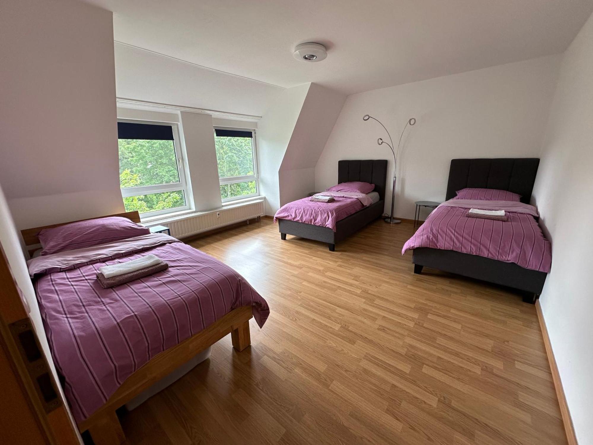 Grosses Apartment Im Dg Leipzig Eksteriør billede